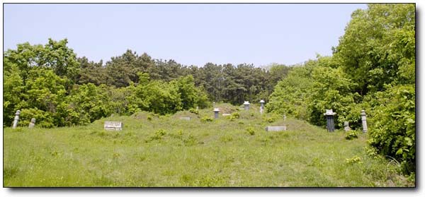 ankim04-22z1455.jpg