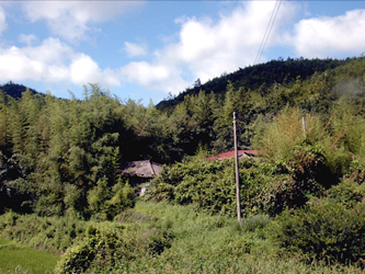 ankim04-22z36.jpg