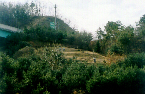 ankim04-22z92.jpg