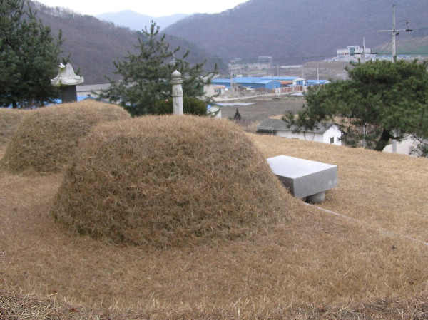 ankim04-22z988.jpg
