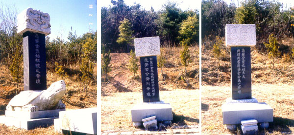 ankim02-3-5d.jpg