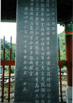 ankim02-6-13k.jpg