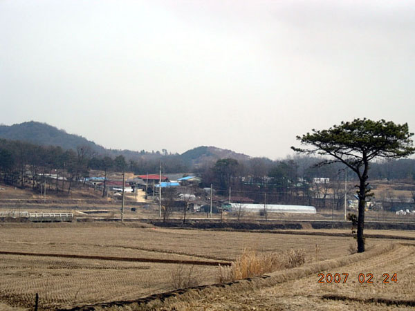 ankim02-6-16b.jpg