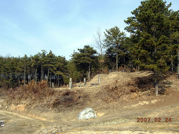 ankim02-6-16d.jpg