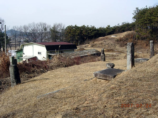 ankim02-6-16f.jpg