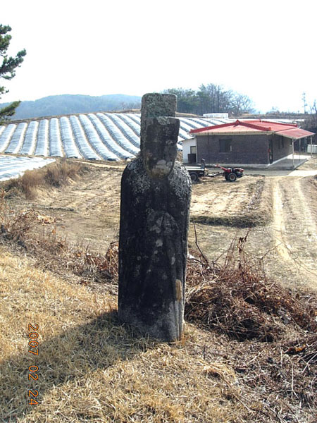 ankim02-6-16j.jpg
