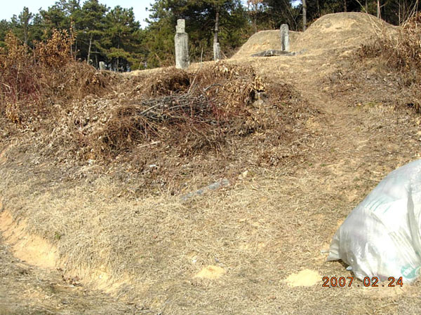 ankim02-6-16m.jpg