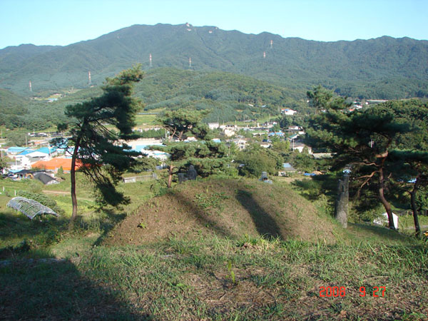 ankim02-6-25z9.jpg