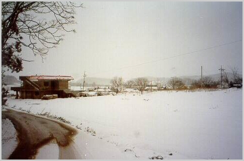 ankim02-6-2z30.jpg