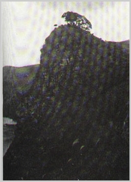 ankim02-6-2z49.jpg