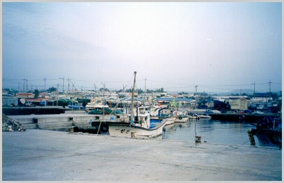 ankim02-6-2z79.jpg