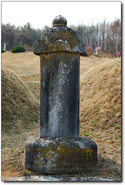 ankim02-6-33d.jpg