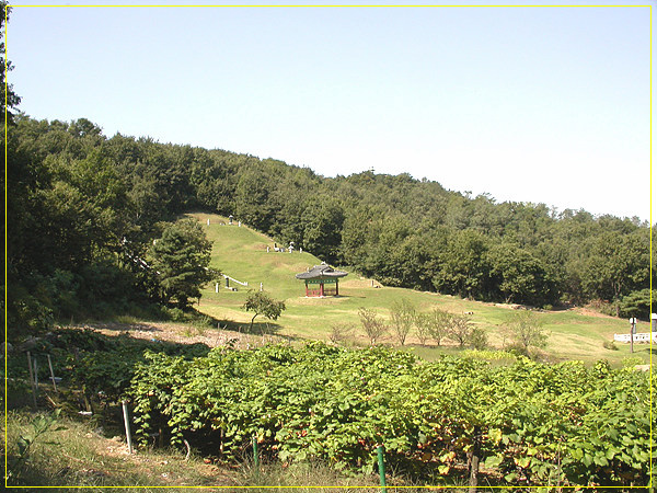 ankim02-6-42p.jpg