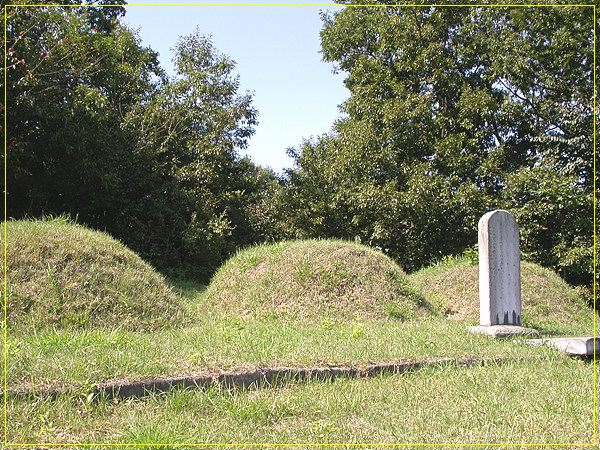 ankim02-6-42r.jpg