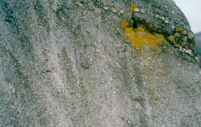 ankim02-6-46e.jpg