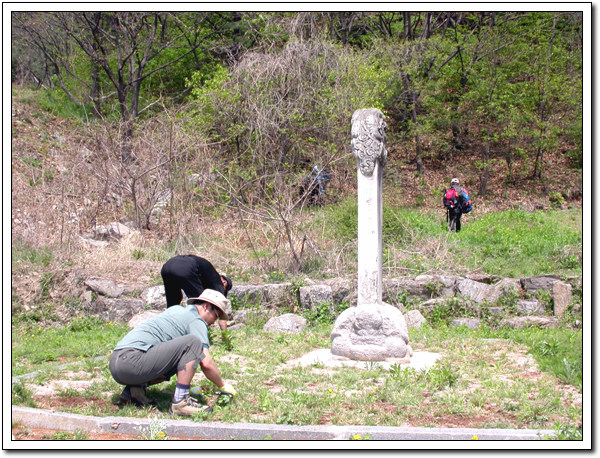 ankim02-6-46z116.jpg