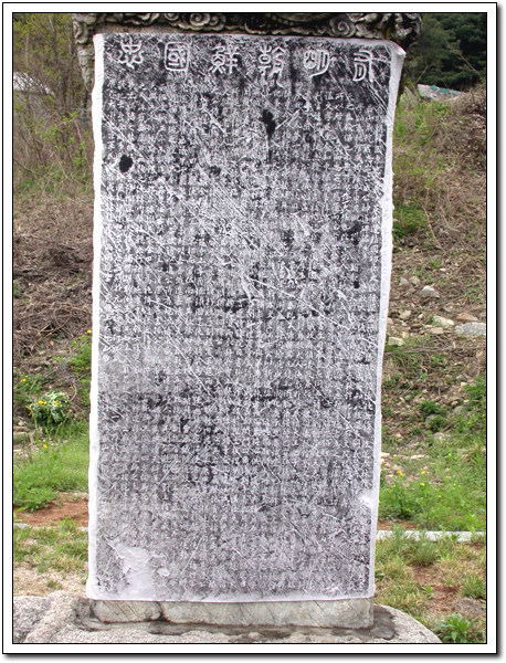 ankim02-6-46z117.jpg