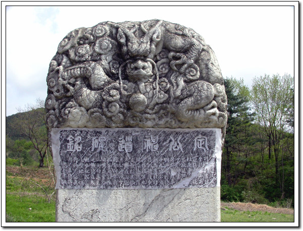 ankim02-6-46z118.jpg