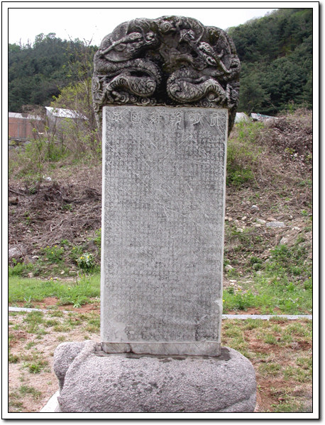 ankim02-6-46z123.jpg