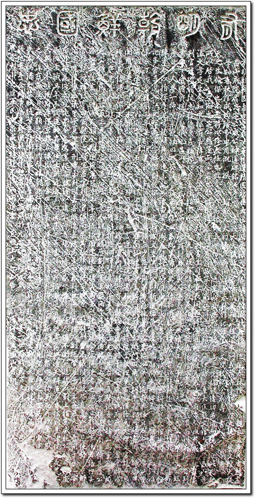 ankim02-6-46z126.jpg