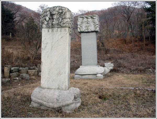 ankim02-6-46z21.jpg