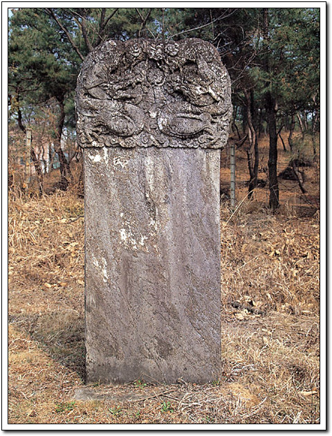 ankim02-6-46z49.jpg