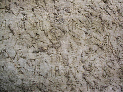 ankim02-6-46z6.jpg