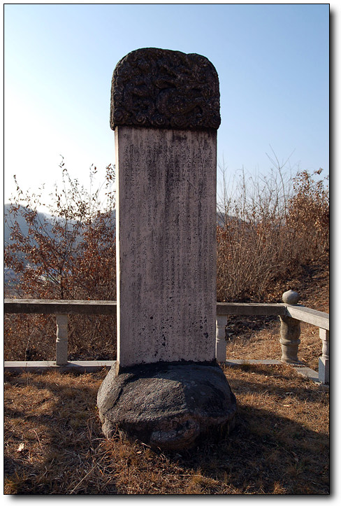 ankim02-6-46z61.jpg