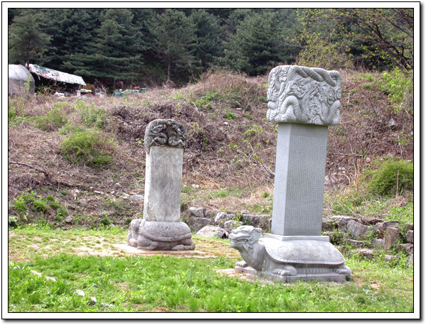 ankim02-6-46z98.jpg