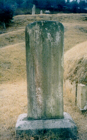 ankim02-6-48f.jpg