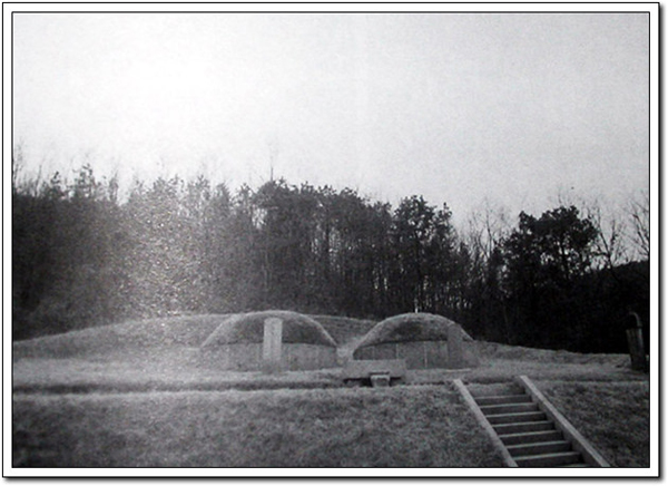 ankim02-6-48o.jpg