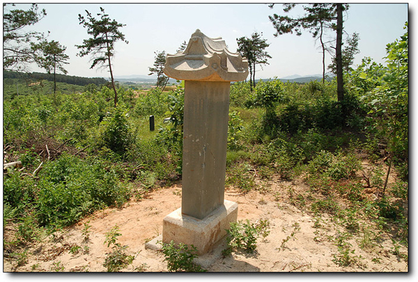 ankim02-6-49n.jpg