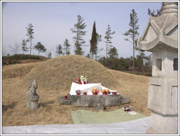 ankim02-6-49z126.jpg