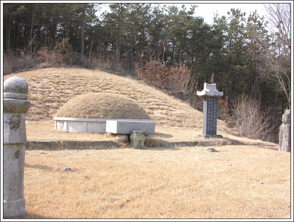 ankim02-6-49z129.jpg