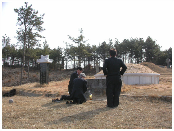 ankim02-6-49z131.jpg