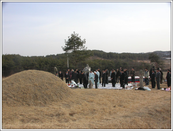 ankim02-6-49z135.jpg