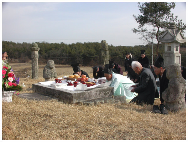 ankim02-6-49z136.jpg