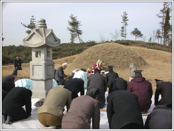 ankim02-6-49z137.jpg