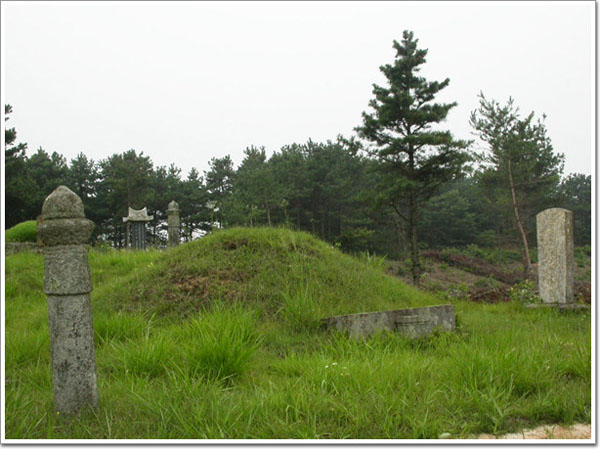 ankim02-6-49z56.jpg