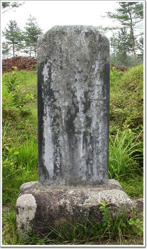 ankim02-6-49z62.jpg