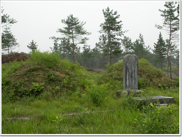 ankim02-6-49z63.jpg