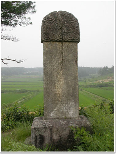 ankim02-6-49z64.jpg