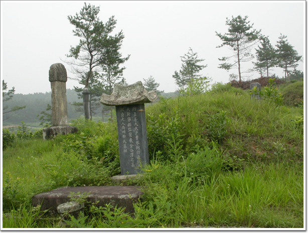 ankim02-6-49z67.jpg