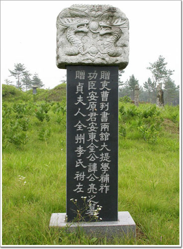 ankim02-6-49z72.jpg