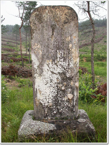 ankim02-6-49z74.jpg