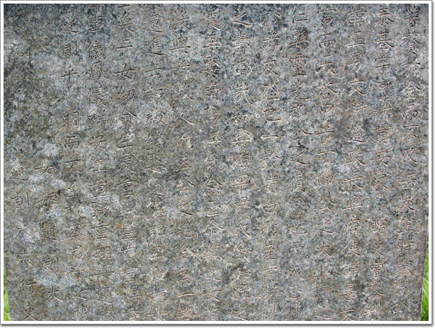 ankim02-6-49z79.jpg