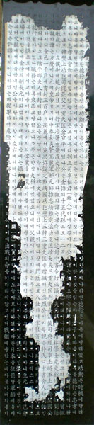 ankim02-6-4z194.jpg
