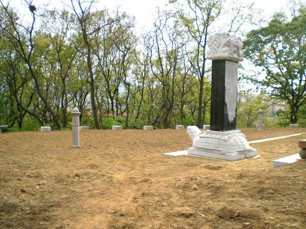 ankim02-6-4z204.jpg