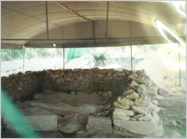 ankim02-6-4z61.jpg