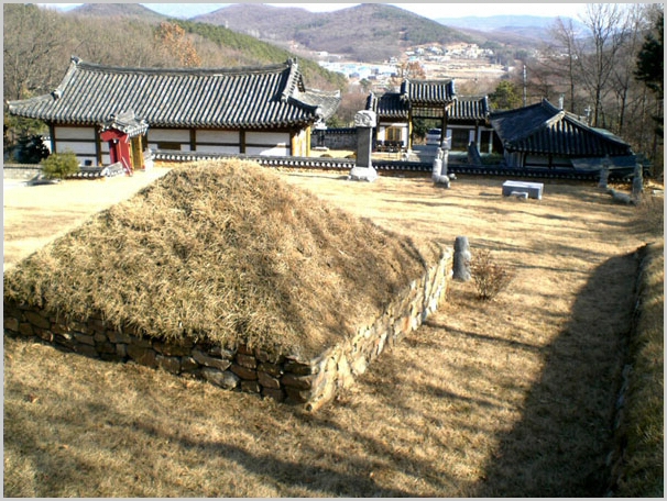 ankim02-6-4z91.jpg